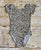 Leopard Cap Sleeve Leotard