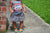 Shake off the Haters Razorback Tank